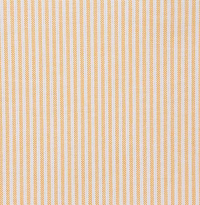 Pindler BENTLEY SUNSHINE Fabric