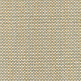 Thibaut Rebun Cream Wallpaper