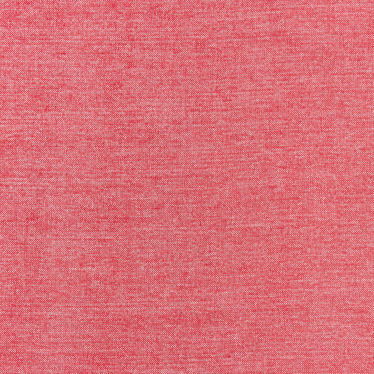 Thibaut Rebun Midnight Wallpaper