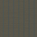 Armani Rebun Sage Wallpaper