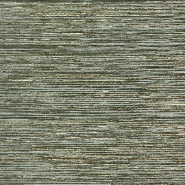 Thibaut Maroma Olive Wallpaper