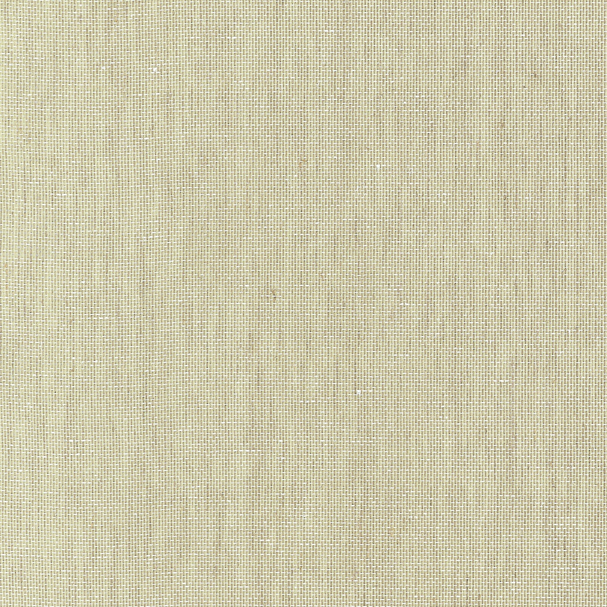 Thibaut Lake Shore Citron Wallpaper