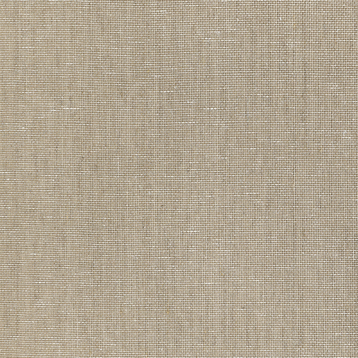 Thibaut Lake Shore Brown Wallpaper