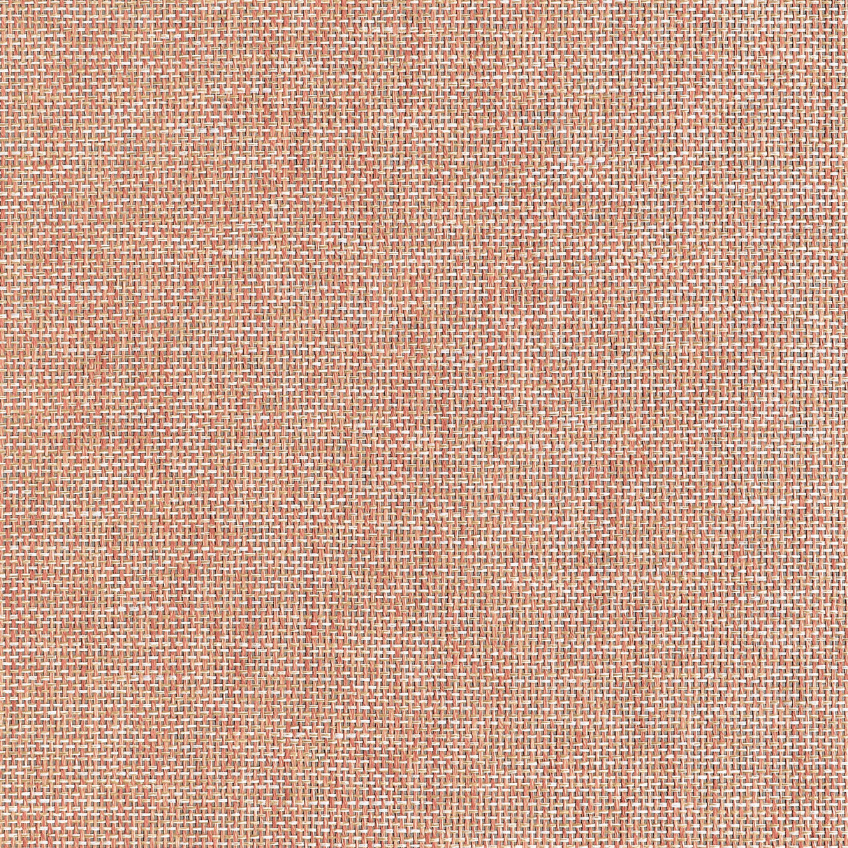 Thibaut Portage Adobe Wallpaper