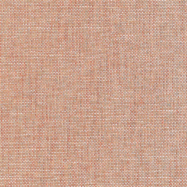 Thibaut Portage Adobe Wallpaper