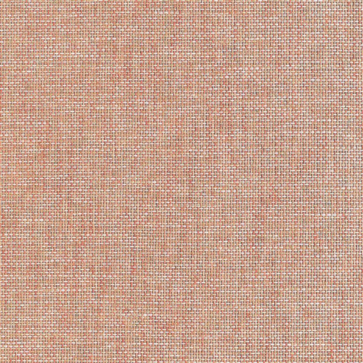 Thibaut Portage Adobe Wallpaper