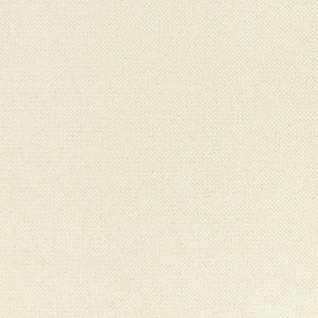 Thibaut Bizette Almond Fabric