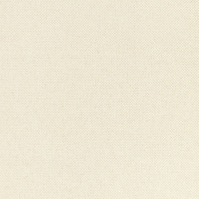 Thibaut Bizette Almond Fabric