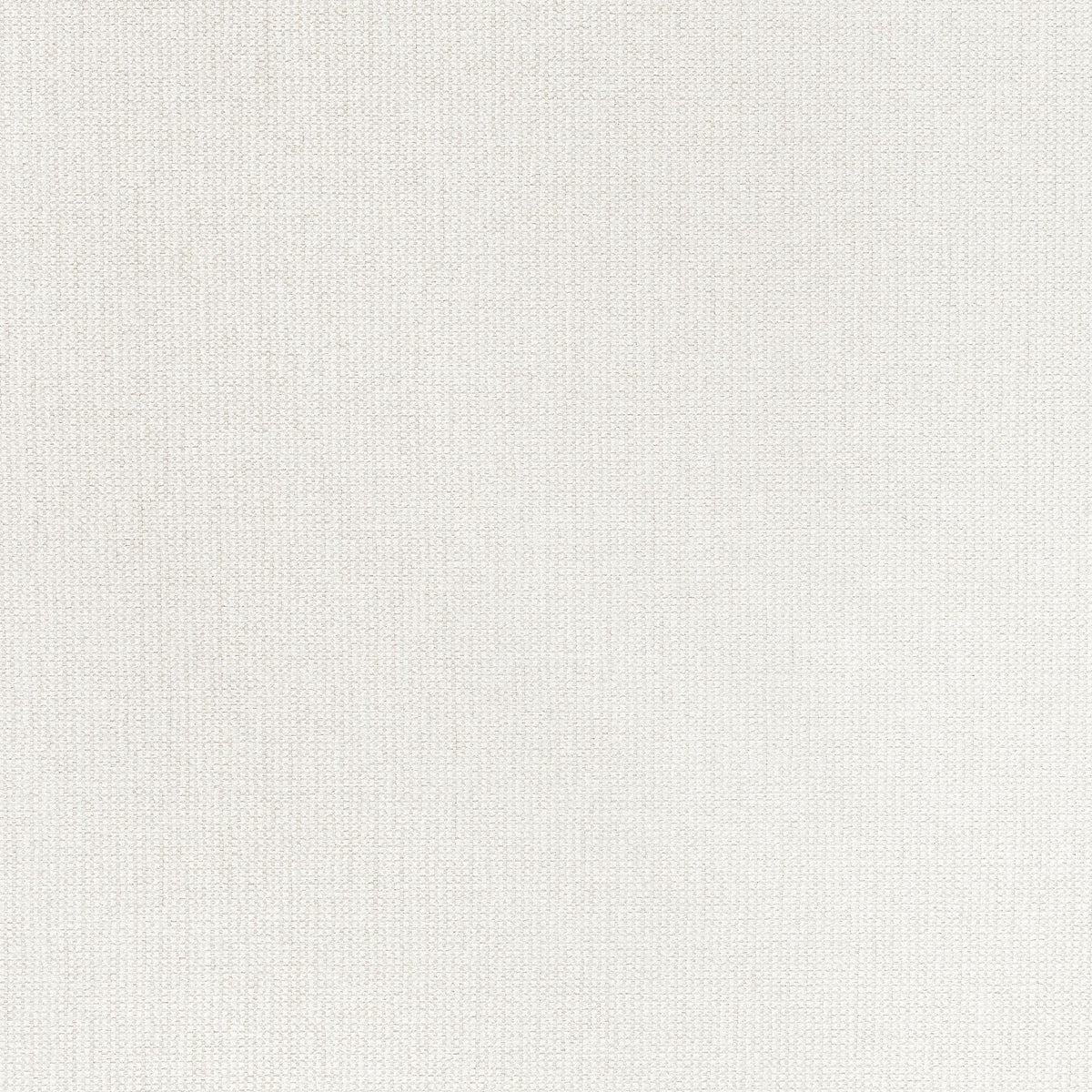 Thibaut Cadie Ivory Fabric