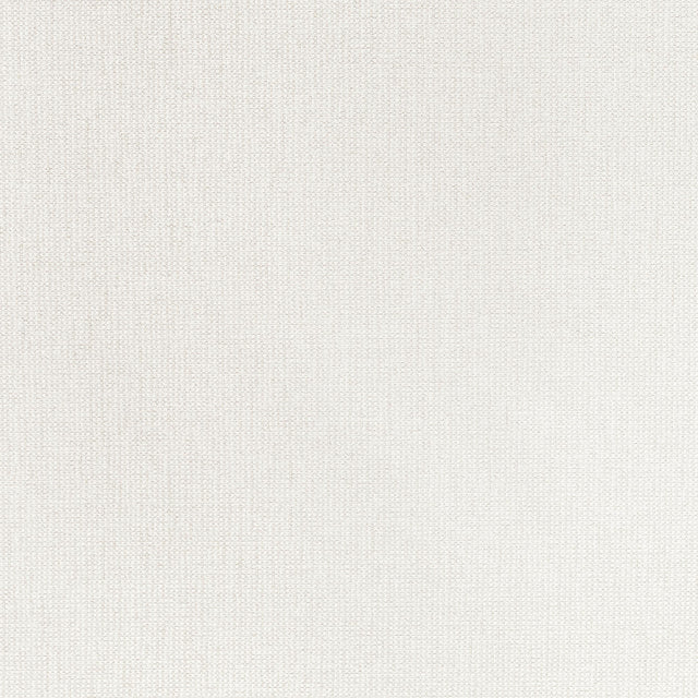 Thibaut Cadie Ivory Fabric