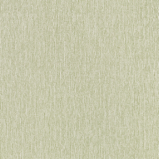 Thibaut Cadie Moss Fabric