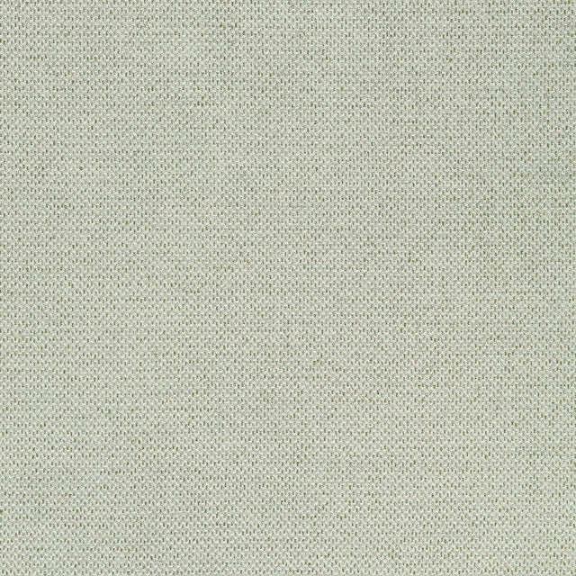 Thibaut Bizette Moss Fabric