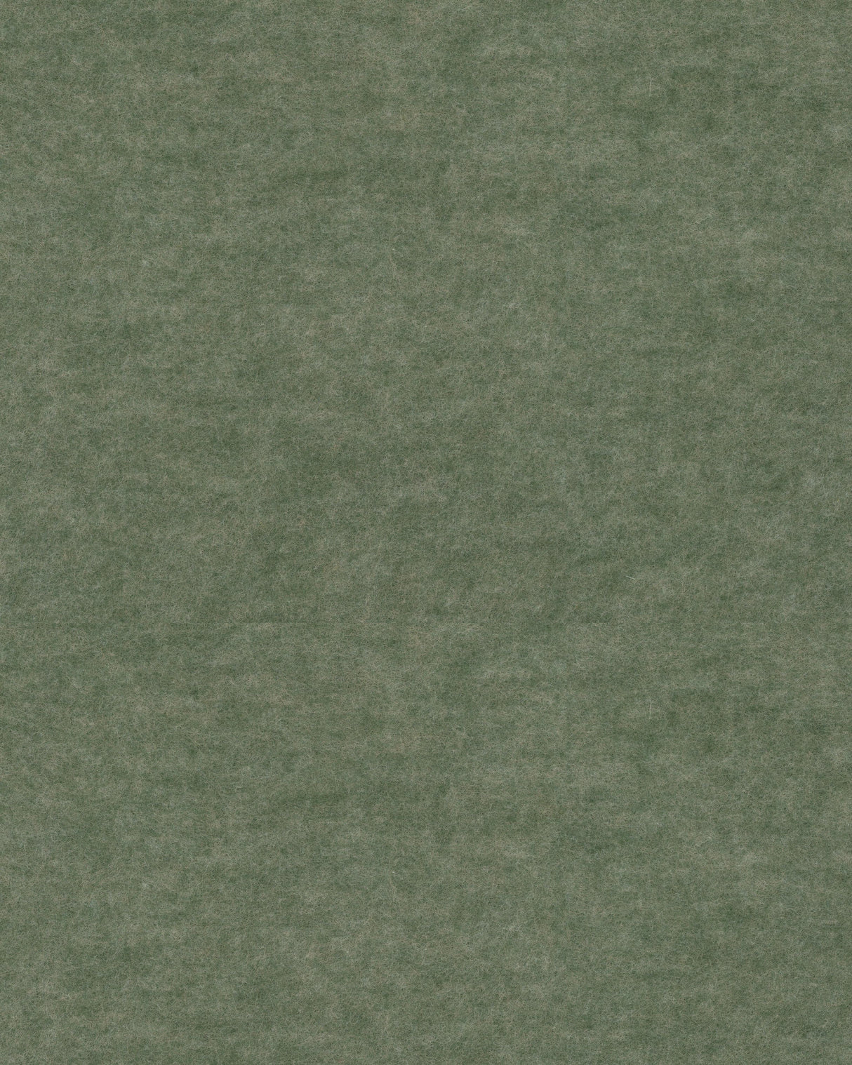 Winfield Thybony REPOSE HUNTER Wallpaper