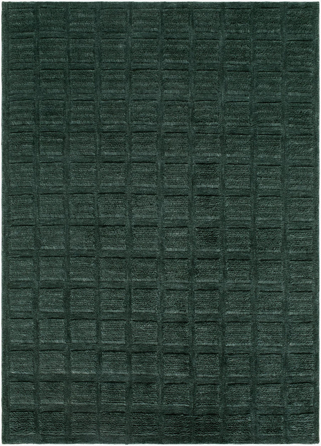 Livabliss Eleve EEV-2302 2' x 3' Handmade Rug