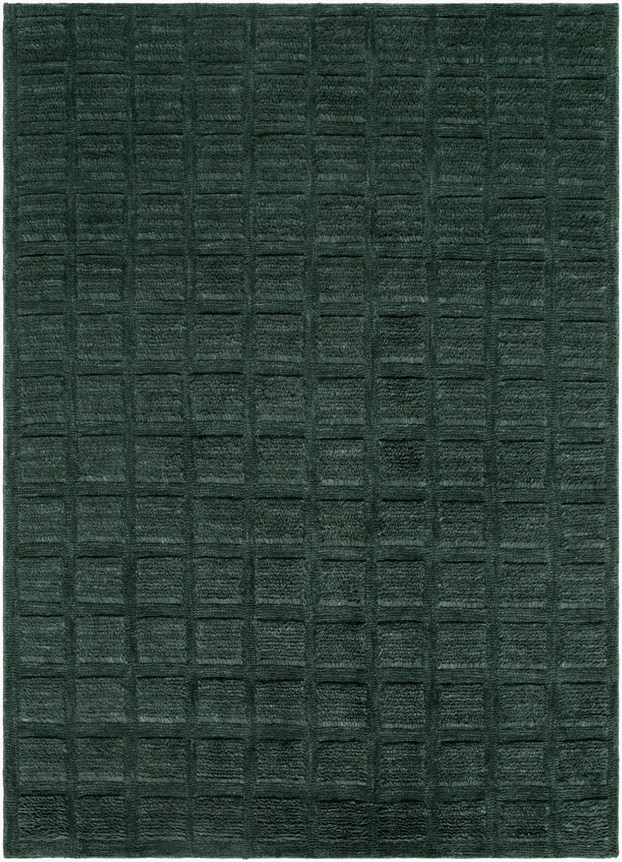 Livabliss Eleve EEV-2302 8' x 10' Handmade Rug
