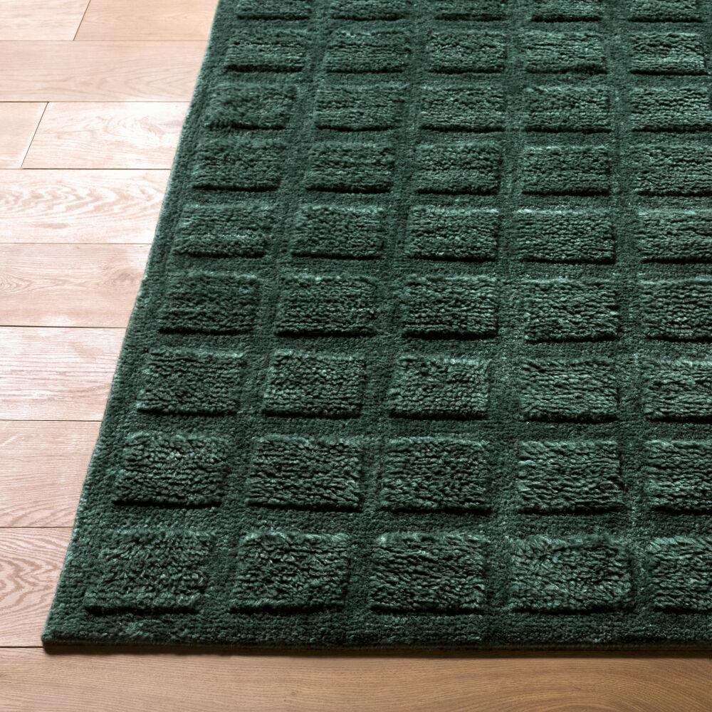 Livabliss Eleve EEV-2302 8' x 10' Handmade Rug