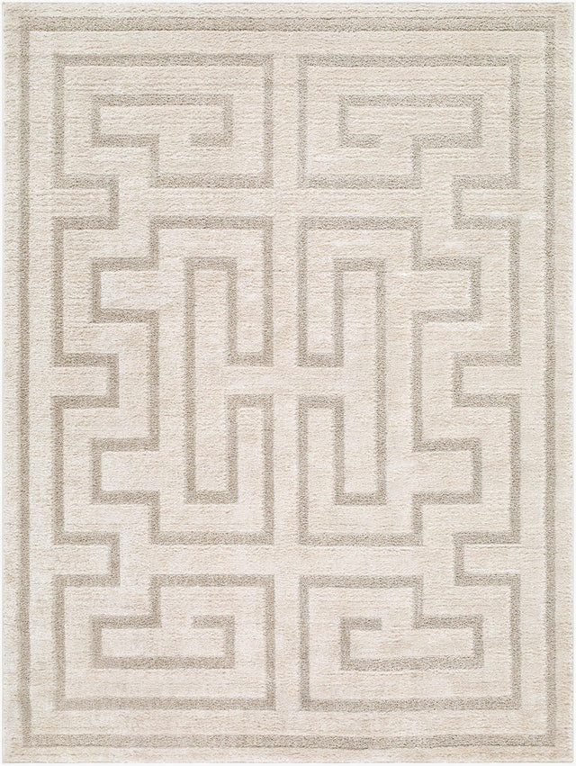 Livabliss The Studio Edit RZSE-2309 5'3" x 7' Machine Woven Rug