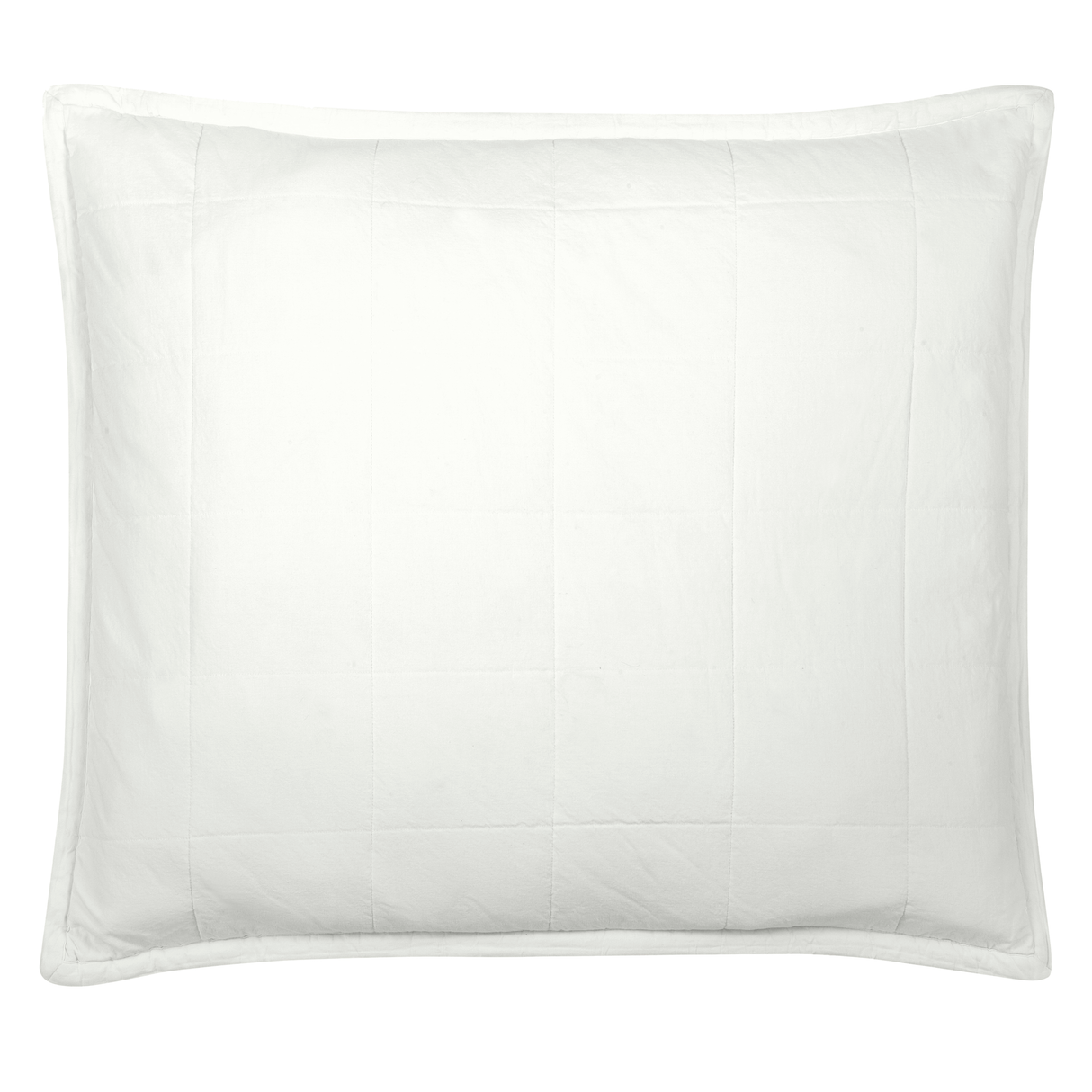 Ann Gish Bone 36x30 Cotton Canvas Pillow
