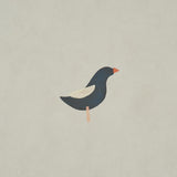 Schumacher Birds Print Black On Natural Wallpaper