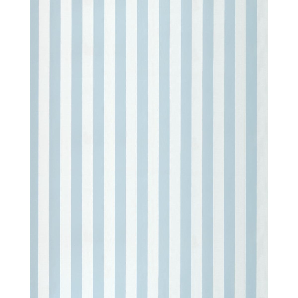 Schumacher Roosevelt Awning Stripe Robin'S Egg Fabric