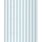Schumacher Roosevelt Awning Stripe Robin'S Egg Fabric