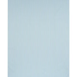 Schumacher Lincoln Small Stripe Robin'S Egg Fabric
