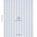 Schumacher Madison Wide Stripe Robin'S Egg Fabric