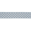 Schumacher Sky Dotted Embroidered Tape