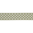 Schumacher Sage Dotted Embroidered Tape