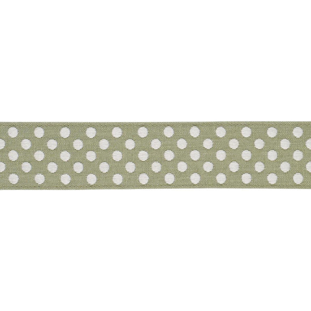 Schumacher Sage Dotted Embroidered Tape