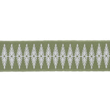 Schumacher Green Genevieve Embroidered Tape