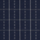 Schumacher Ayan Indigo Fabric