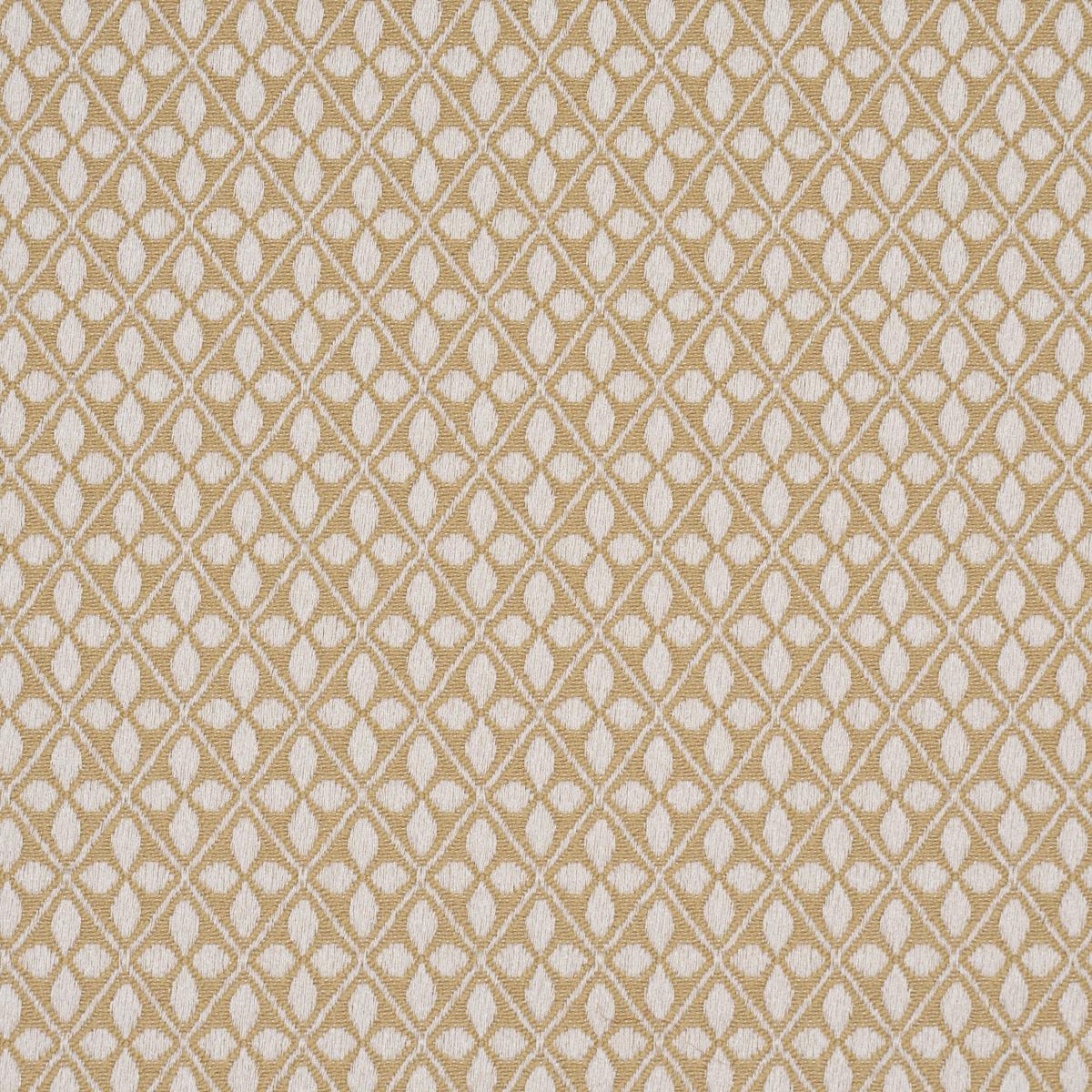 Schumacher Adams Damask Neutral Fabric