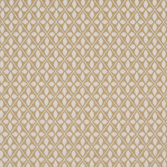 Schumacher Adams Damask Neutral Fabric