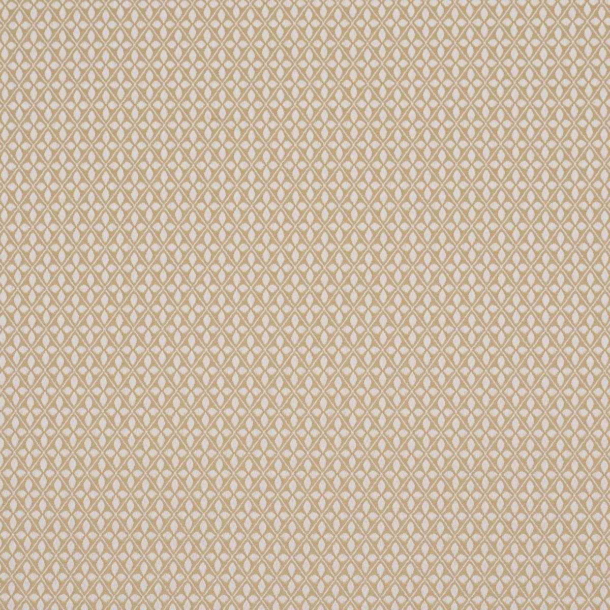 Schumacher Adams Damask Neutral Fabric