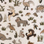 Kravet DWELLERS NEUTRAL Fabric