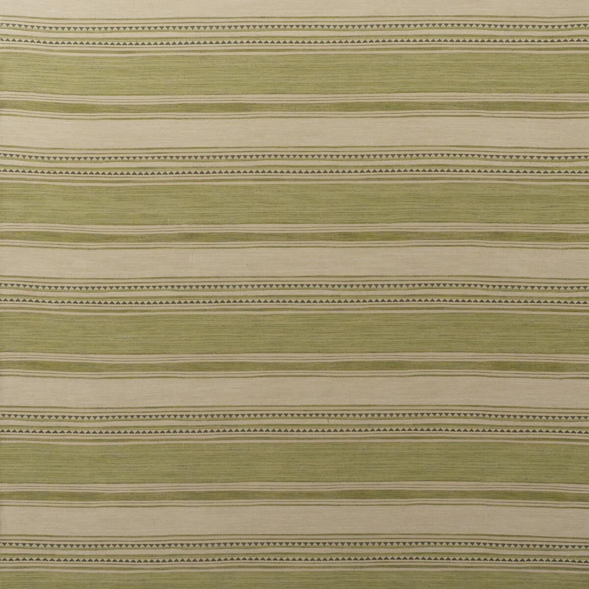 Andrew Martin LAS SALINAS 7 GREEN Upholstery Fabric