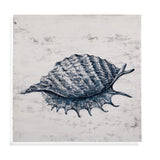 Bassett Blue Shell I Canvas Art