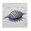 Bassett Blue Shell I Canvas Art