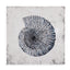 Bassett Blue Shell II Canvas Art