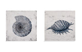 Bassett Blue Shell II Canvas Art