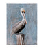 Bassett Blue Pelican Canvas Art