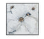 Bassett Black Frame Dogwood Framed Canvas