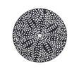Bassett Black/White Everlasting Wall Art