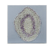 Bassett Acrylic Frame Stone Art Wall Art
