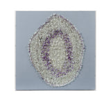 Bassett Acrylic Frame Stone Art Wall Art