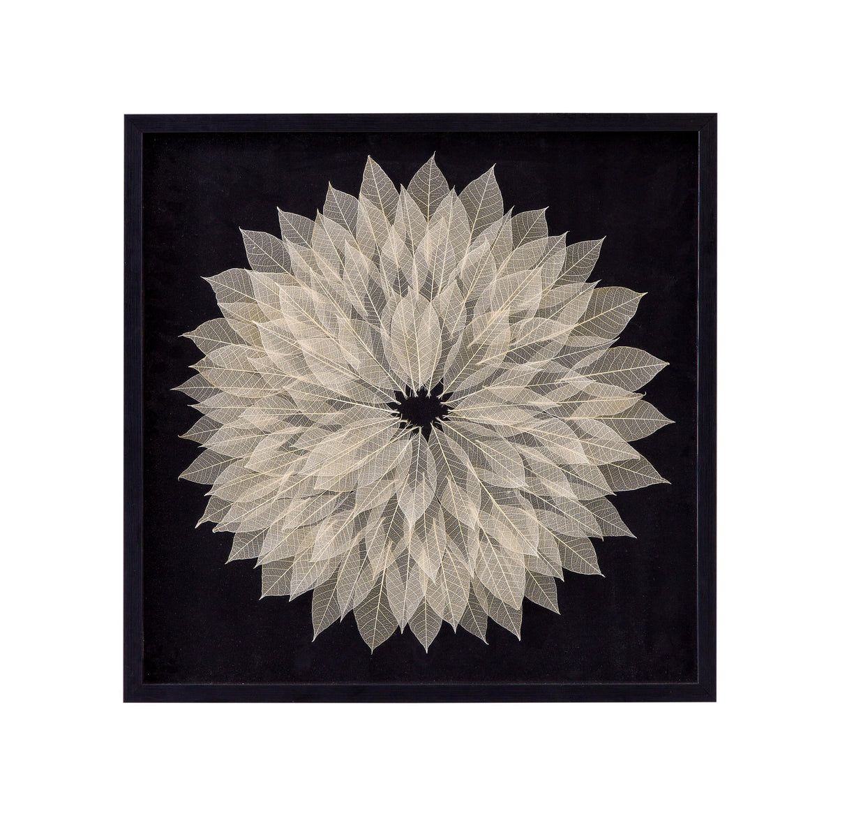Bassett Black Frame Translucent Leaf Wall Art