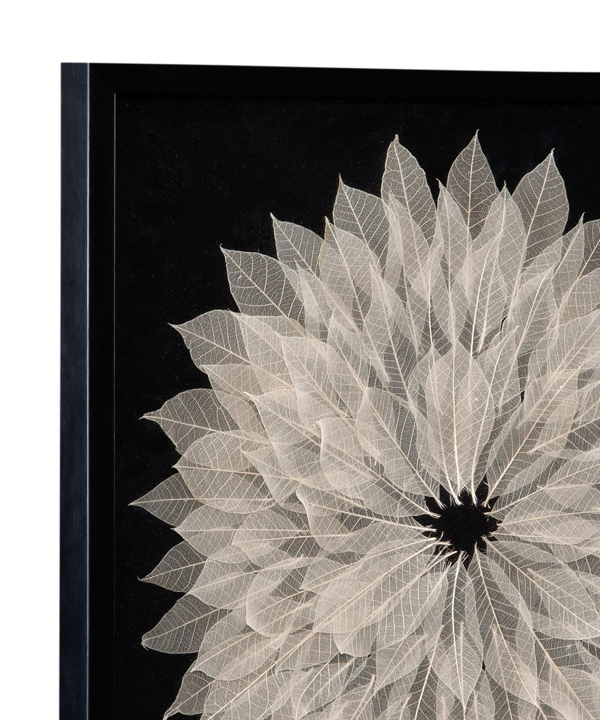 Bassett Black Frame Translucent Leaf Wall Art