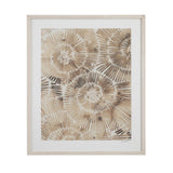Bassett Brown Fossil Nautilus I Framed Print