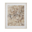 Bassett Brown Fossil Nautilus I Framed Print